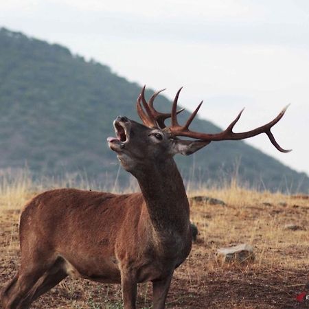 Alojamiento Rural Dehesa La Estancia アンドゥハル エクステリア 写真